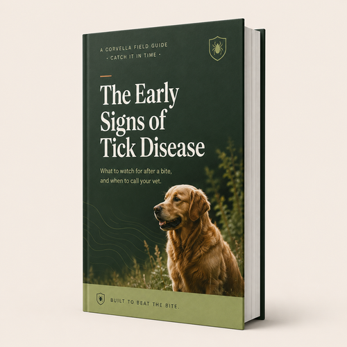 The Early Signs of Tick Disease Guide